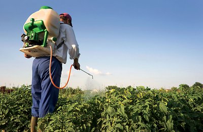 Stricter regulation boosts exports: the case of Maximum Residue Levels in pesticides