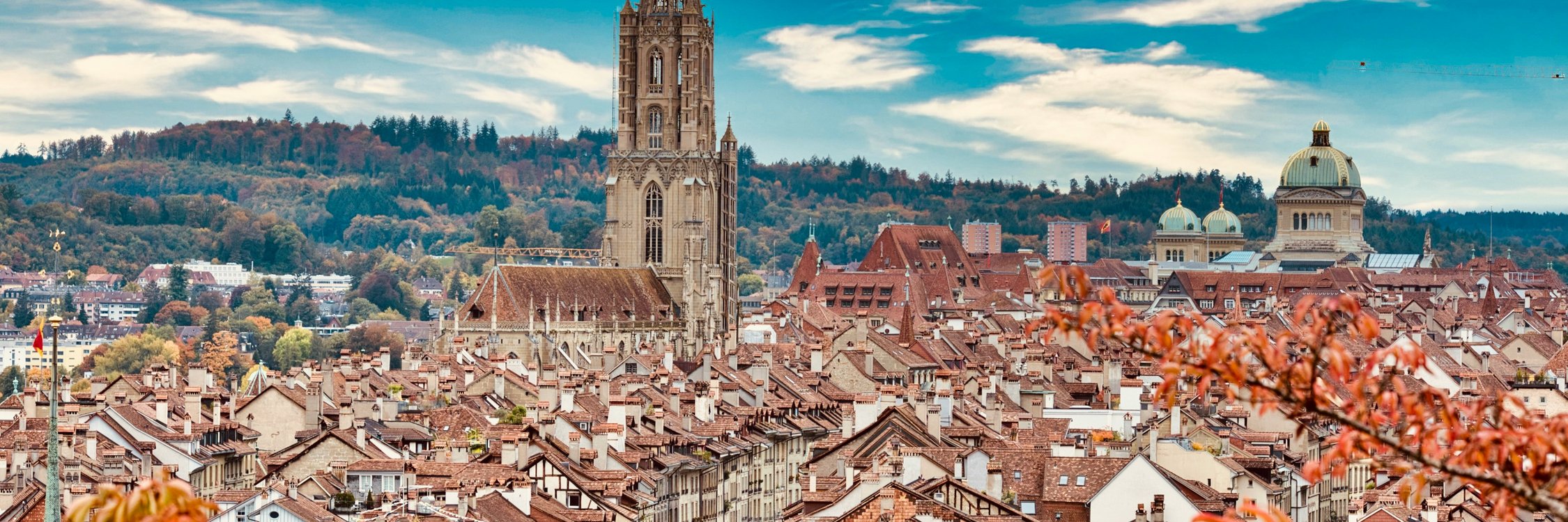 Explore a world of opportunity with a WTI degree