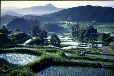 Are Switzerland's Agricultural Policies relevant for Japan?