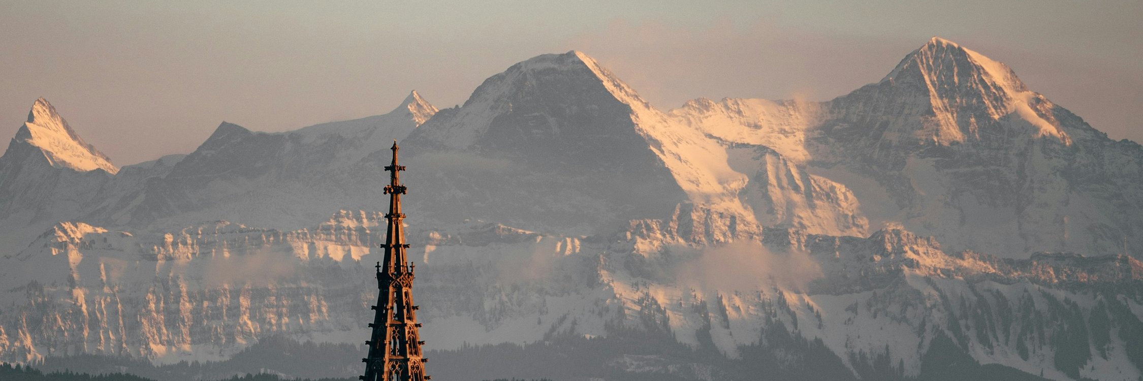 A world of opportunity at the World Trade Institute