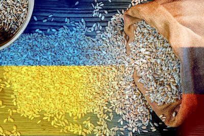 MATS Report: "Year Three of Russia’s Aggression. Production and Trade Risks for Global Food Security."